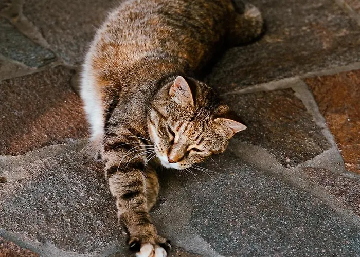 Borgo Tarapino Campagna Gasthof 3*