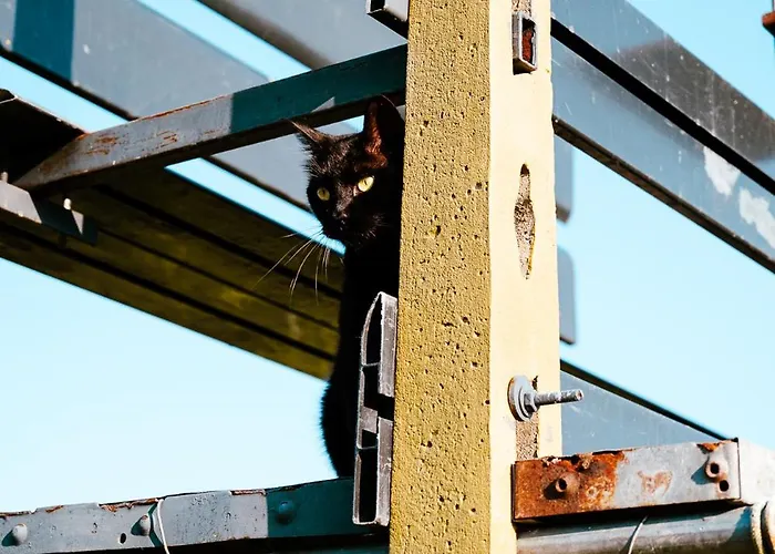 Gasthof Borgo Tarapino Campagna 3*