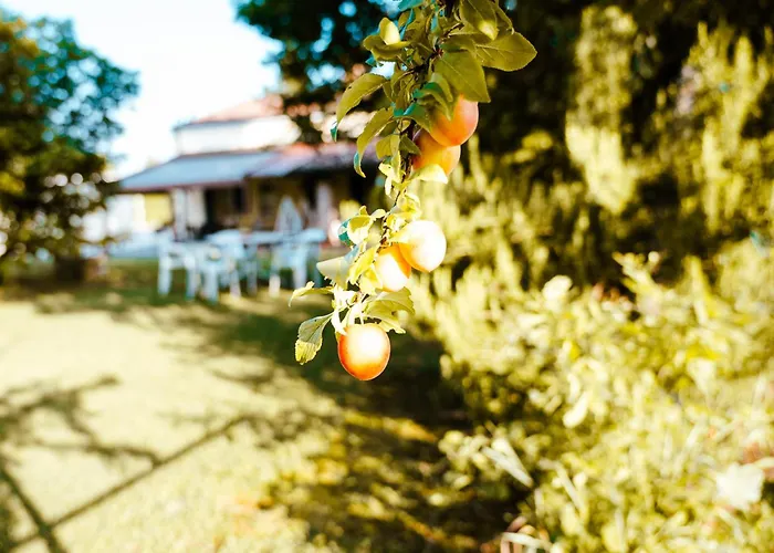 Borgo Tarapino Campagna Gasthof 3*