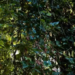 Guest house Borgo Tarapino Campagna