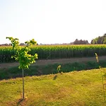Borgo Tarapino Campagna 招待所 费拉拉