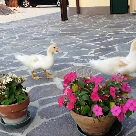 Borgo Tarapino *