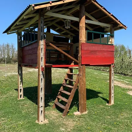 Guest house Borgo Tarapino