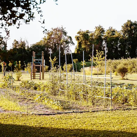 Konukevi Borgo Tarapino Campagna