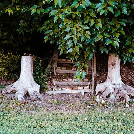 בית הארחה Borgo Tarapino Campagna פררה