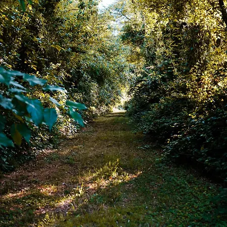 Borgo Tarapino Campagna 3*