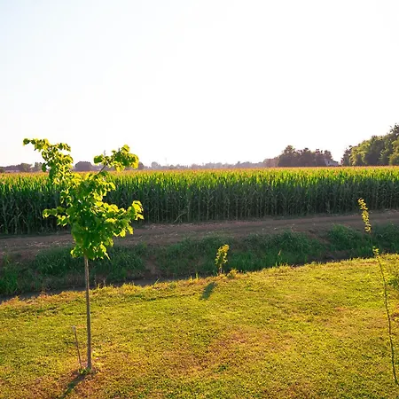Borgo Tarapino Campagna Gæstehus Ferrara