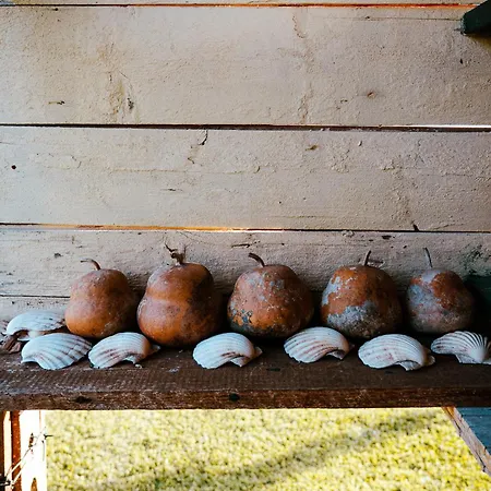 Affittacamere Borgo Tarapino Campagna Ferrara