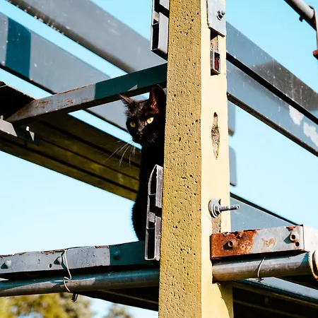 Affittacamere Borgo Tarapino Campagna 3*