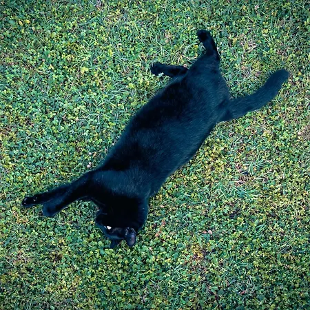 Borgo Tarapino Campagna