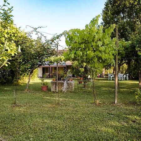 Borgo Tarapino Campagna Gæstehus Ferrara