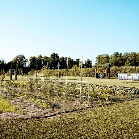 Gæstehus Borgo Tarapino Campagna Ferrara