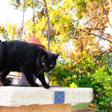 Pensión Borgo Tarapino Campagna