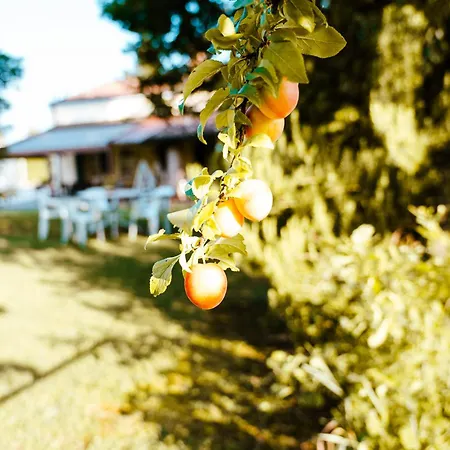 Borgo Tarapino Campagna Gæstehus 3*