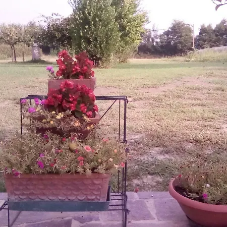 Guest house Borgo Tarapino *