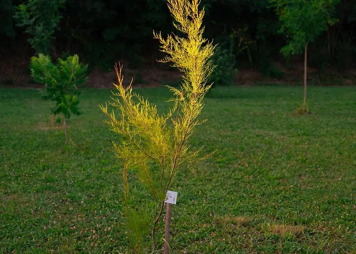 בית הארחה Borgo Tarapino Campagna 3*