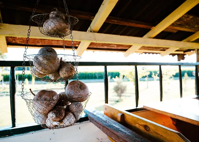 Affittacamere Borgo Tarapino Campagna Ferrara