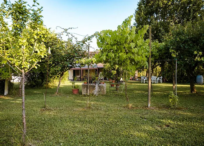 Borgo Tarapino Campagna Affittacamere Ferrara