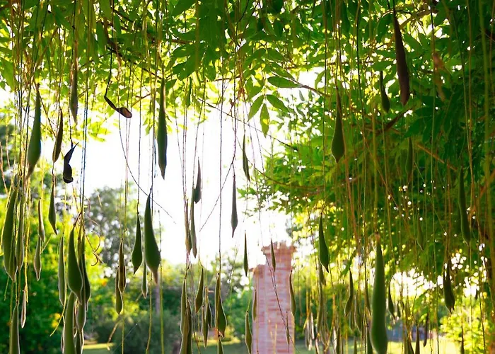 Borgo Tarapino Campagna