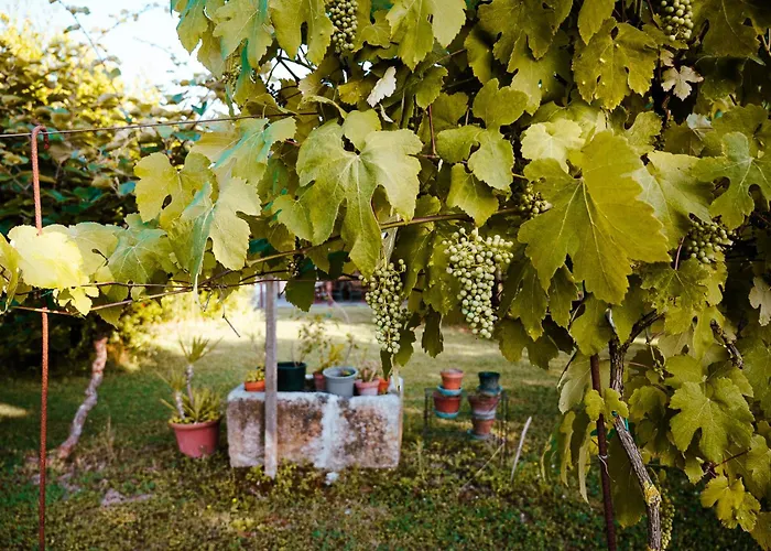Borgo Tarapino Campagna בית הארחה