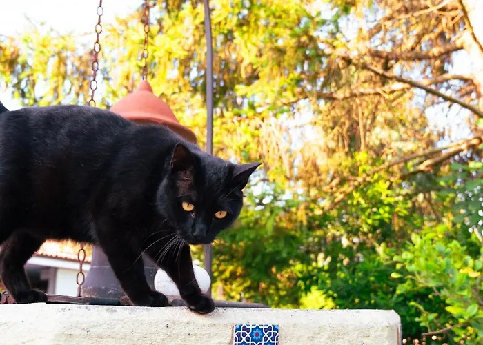 Affittacamere Borgo Tarapino Campagna